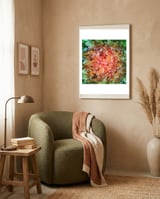 The Beautiful Evidence framed in a tender room thumbnail