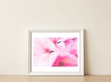 Kairos — framed, leaning against the wall thumbnail