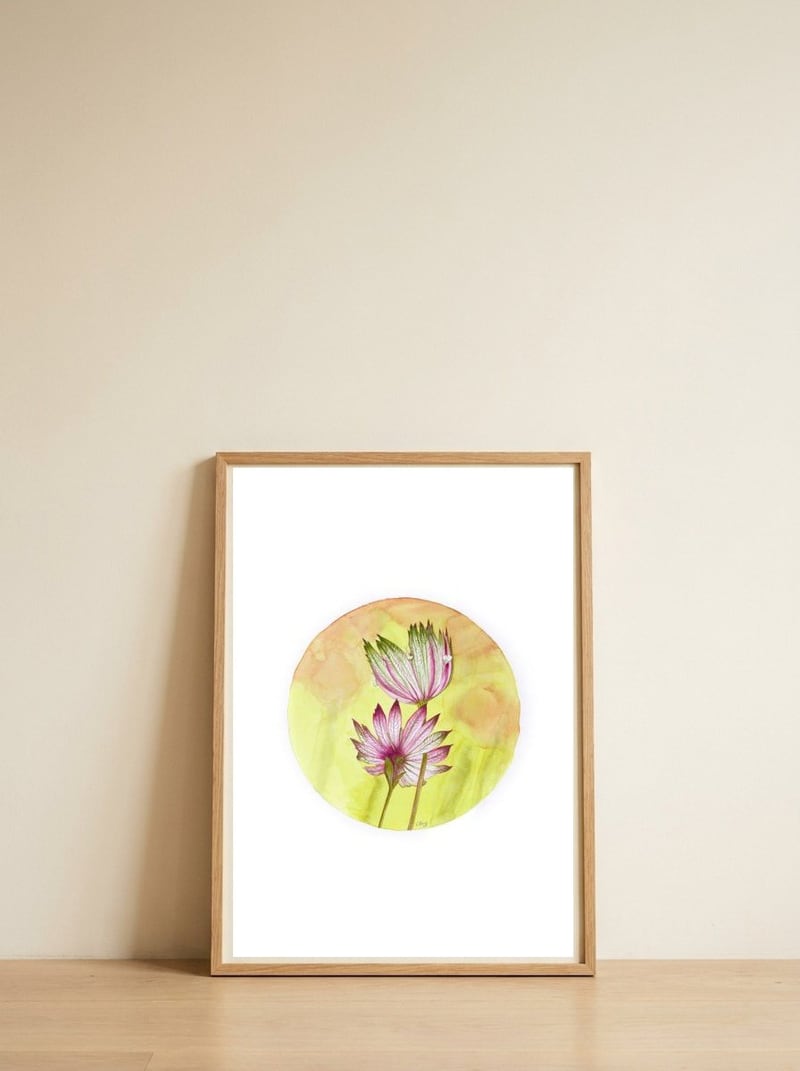 Circular Astrantia — framed, leaning against the wall